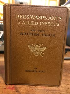 BEES, WASPS, ANTS AND ALLIED INSECTS OF THE BRITISH ISLES