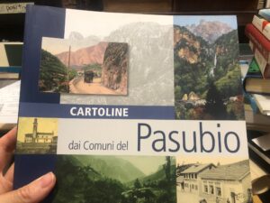 CARTOLINE DAI COMUNI DEL PASUBIO