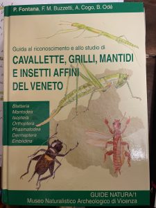 CAVALLETTE, GRILLI, MANTIDI E INSETTI AFFINI DEL VENETO