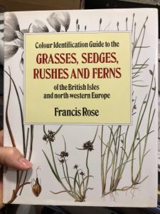 COLOUR IDENTIFICATION GUIDE TO THE GRASSES, SEDGES, RUSHES AND FERNS …