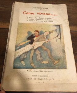 COME VIVONO… IL PAPA, IL RE, I SENATORI, I DEPUTATI, …