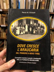 DOVE CRESCE L’ARAUCARIA. DAL PRIMIERO A NOVO TYROL PARTE III
