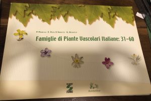 FAMIGLIE DI PIANTE VASCOLARI ITALIANA: 31- 60