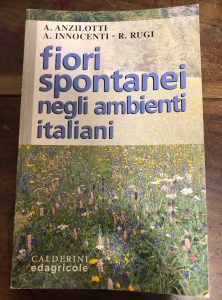 FIORI SPONTANEI NEGLI AMBIENTI ITALIANI