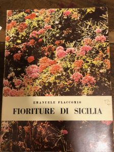 FIORITURE DI SICILIA