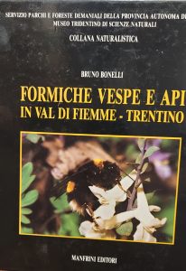 FORMICHE VESPE E API IN VAL DI FIEMME TRENTINO