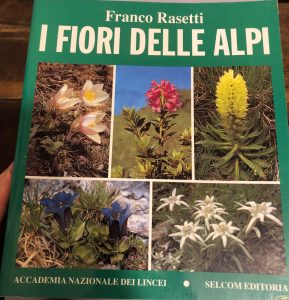 I FIORI DELLE ALPI