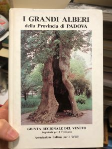 I GRANDI ALBERI DELLA PROVINCIA DI PADOVA