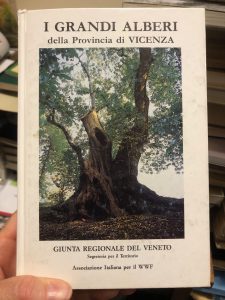 I GRANDI ALBERI DELLA PROVINCIA DI VICENZA