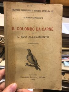 IL COLOMBO DA CARNE E IL SUO ALLEVAMENTO- SECONDA EDIZIONE