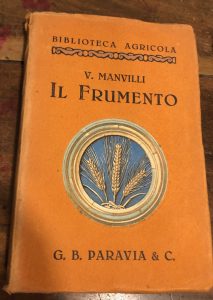IL FRUMENTO