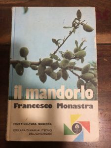 IL MANDORLO