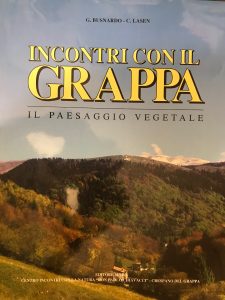 INCONTRI CON IL GRAPPA, IL PAESAGGIO VEGETALE