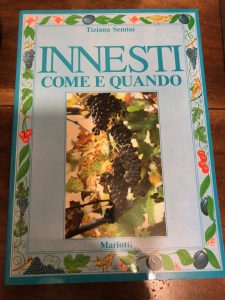 INNESTI COME E QUANDO