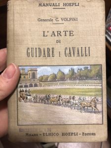 L’ ARTE DI GUIDARE I CAVALLI