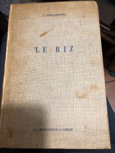 LE RIZ