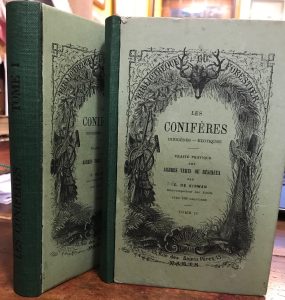 LES CONIFERES INDIGENES EXOTIQUES TRAITE PRATIQUE DES ARBRES VERTS OU …