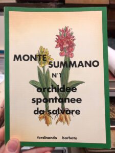 MONTE SUMMANO- N.1 ORCHIDEE SPONTANEE DA SALVARE
