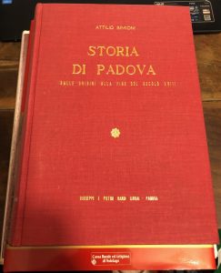STORIA DI PADOVA . DALLE ORIGINI ALLA FINE DEL SECOLO …