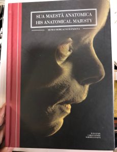 SUA MAESTA’ ANATOMICA- HIS ANATOMICAL MAJESTY – MUSEO MORGANI DI …
