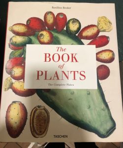 THE BOOK OF PLANTS. THE COMPLETE PLATES