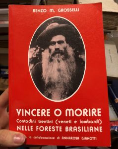 VINCERE O MORIRE.CONTADINI TRENTINI( VENETI E LOMBARDI) NELLE FORESTE BRASILIANE