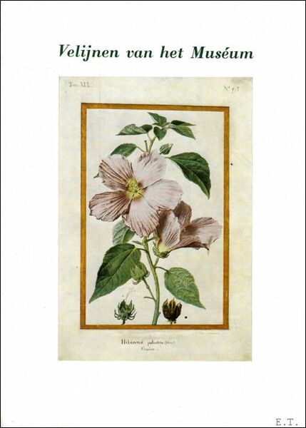 VELIJNEN VAN HET MUSEUM.