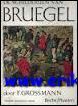 DE SCHILDERIJEN VAN BRUEGEL.