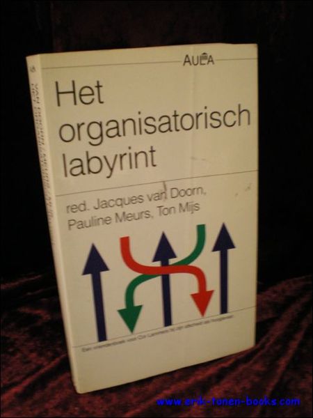 HET ORGANISATORISCH LABYRINT,