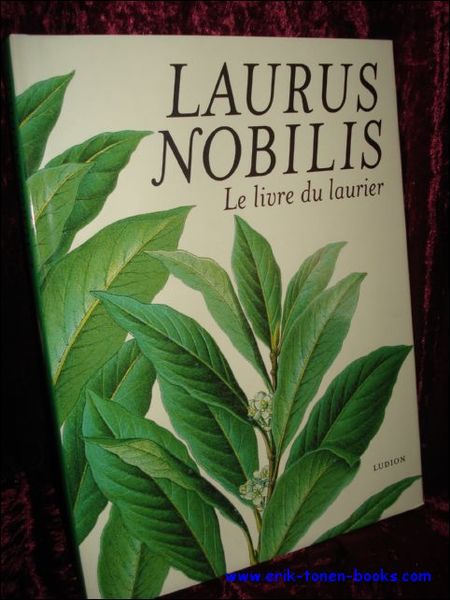 Laurus nobilis lelivree du laurier