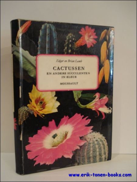 CACTUSSEN EN ANDERE SUCCULENTEN IN KLEUR,