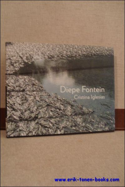 Diepe Fontein Cristina Iglesias.