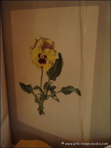 LES PENSEES. les pensees,