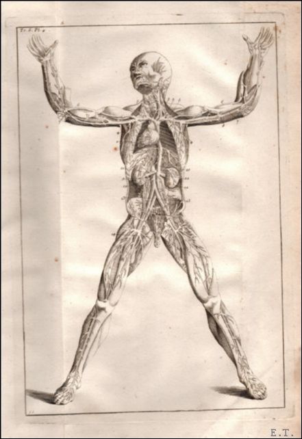 Dictionnaire universel de m decine pr c d d'un Discours …