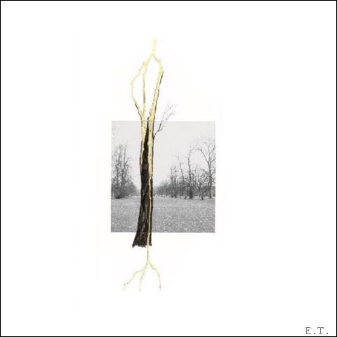 Giuseppe Penone Thoughts in the Roots