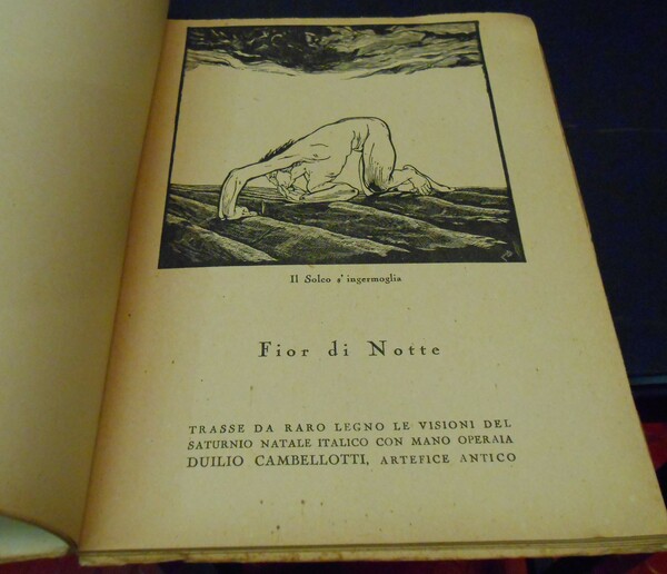 FIOR DI NOTTE - POESIA - CON BELLA DEDICA DELL'AUTORE