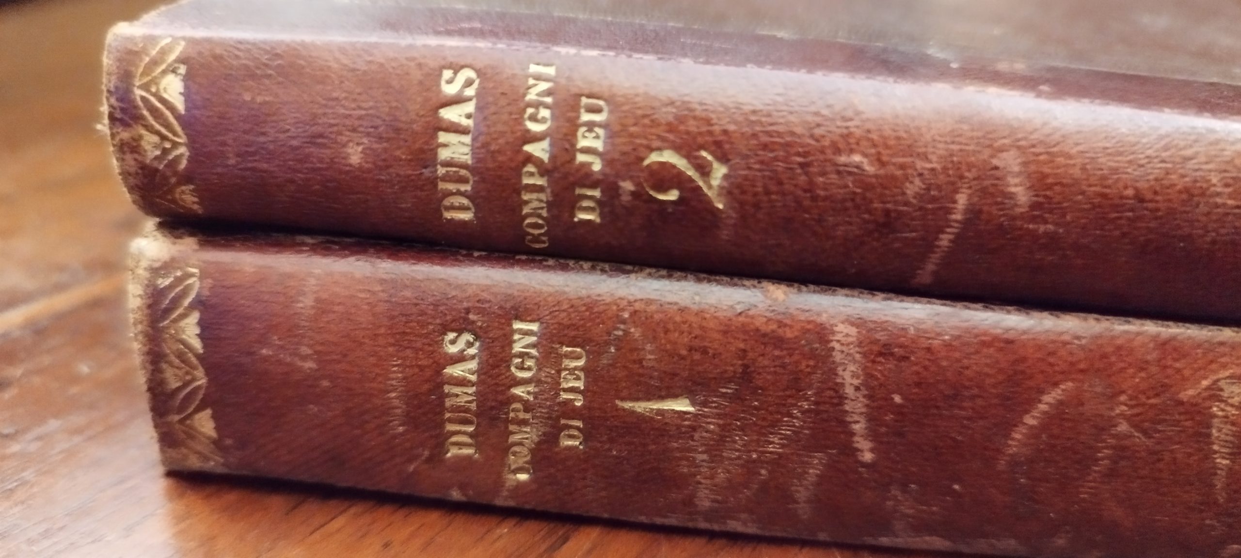 I Compagni di Jeu. Romanzo storico del tempo di Bonaparte …