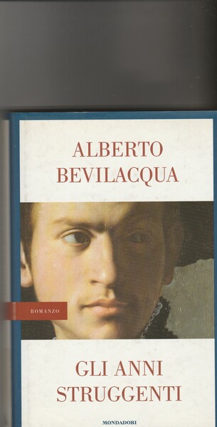 Gli anni struggenti. Romanzo.
