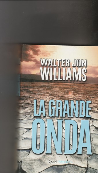 La grande onda. Romanzo.