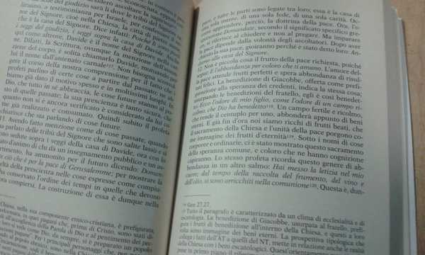 I salmi delle ascensioni. Cantico del pellegrino.