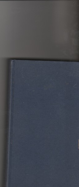 La nuova Babele. Romanzo.