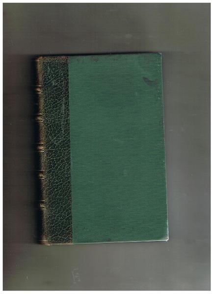 Piccolo mondo moderno. Romanzo.