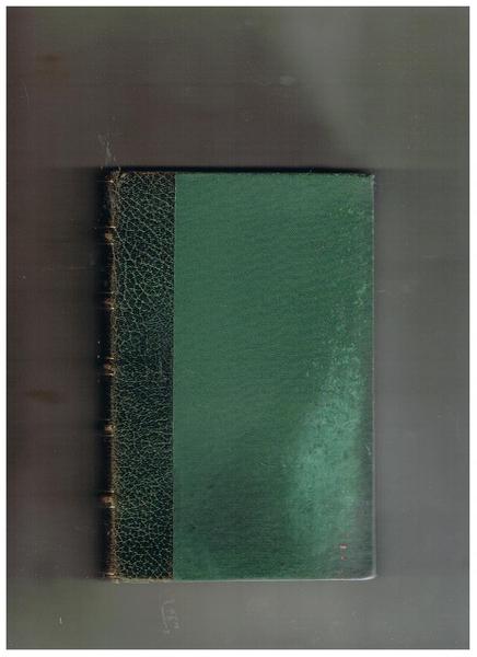 Né bella né brutta. Romanzo. Prima edizione.