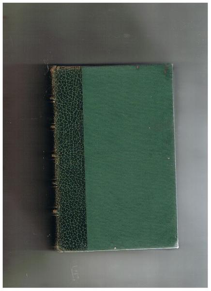 La moglie di sua eccellenza. Romanzo.