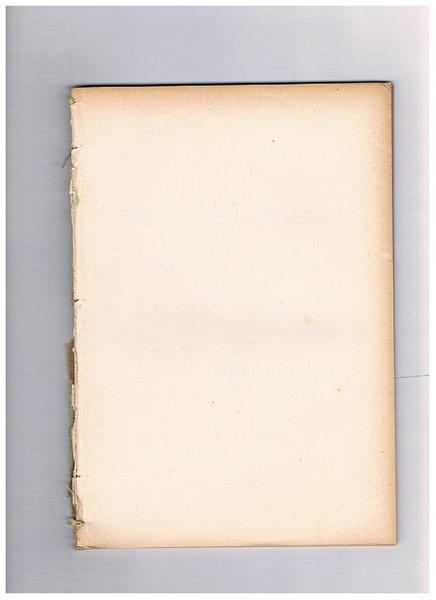 Echi quarantotteschi di vita torinese. Estratto.