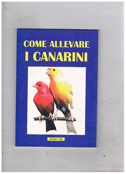 Come allevare i canarini.