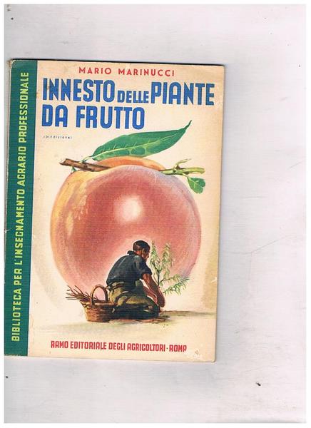 Innesto delle piante da frutto.