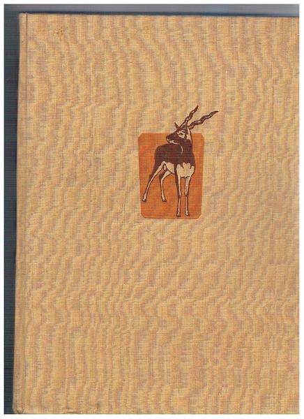 Lo Zoo. Traduzione italiana di Pier Luigi Gandini.