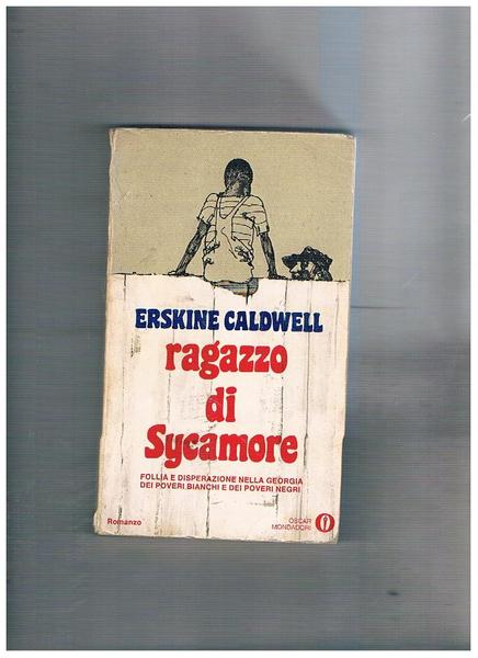 Ragazzo di Sycamore. Follia e disperazione nella Georgia dei poveri …