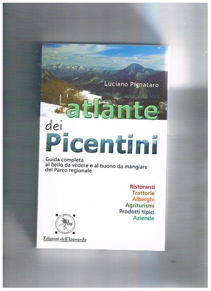 L'atlante dei Picentini. Guida completa al bello da vedere e …